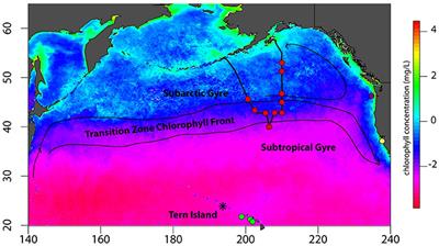 Fisheries Exploitation by Albatross Quantified With Lipid Analysis